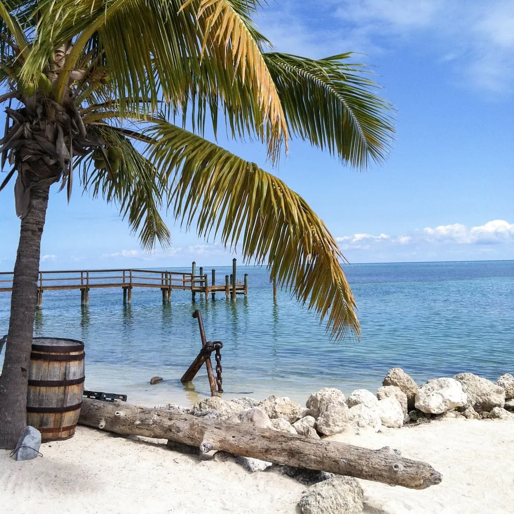 Slide of Pyramid Roofing