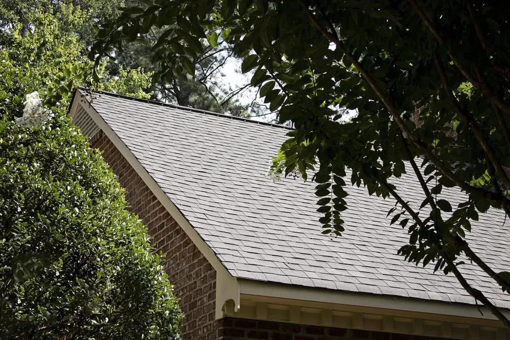 Slide of Pyramid Roofing