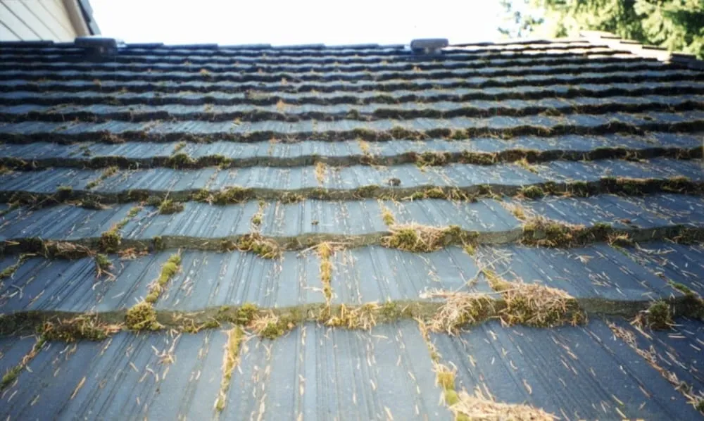 Slide of Pyroshield of Washington