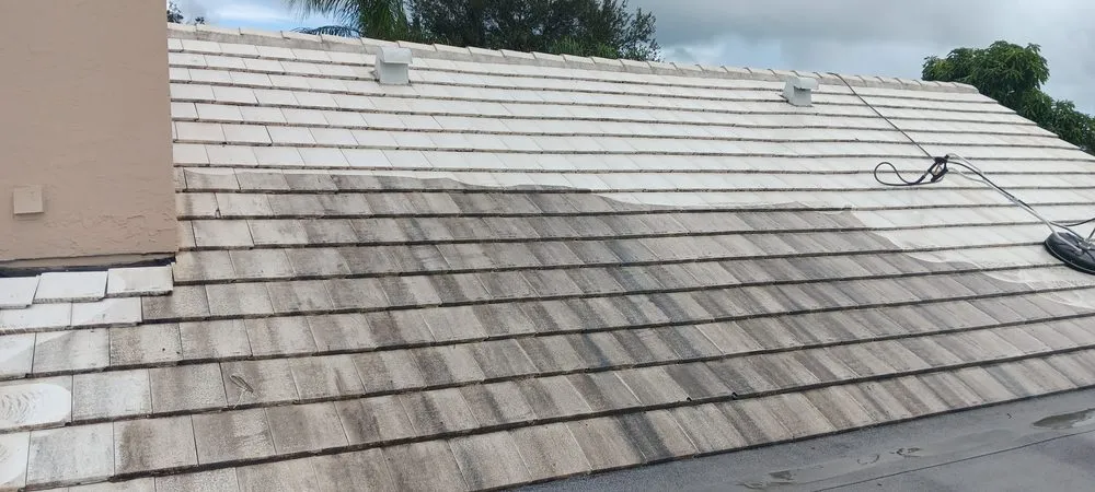 Slide of Qrazy Qreationz