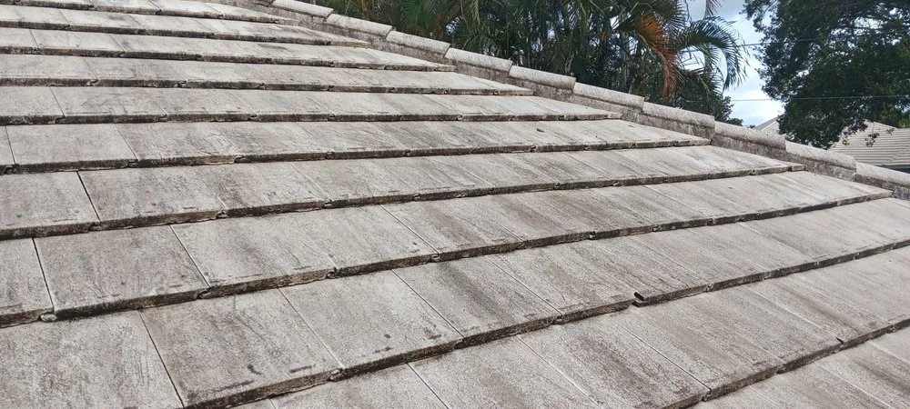 Slide of Qrazy Qreationz