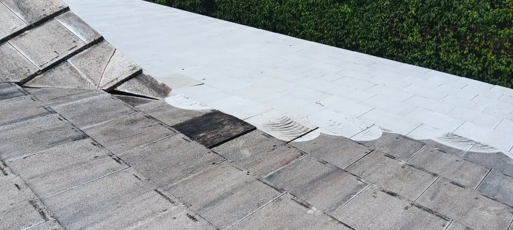 Slide of Qrazy Qreationz