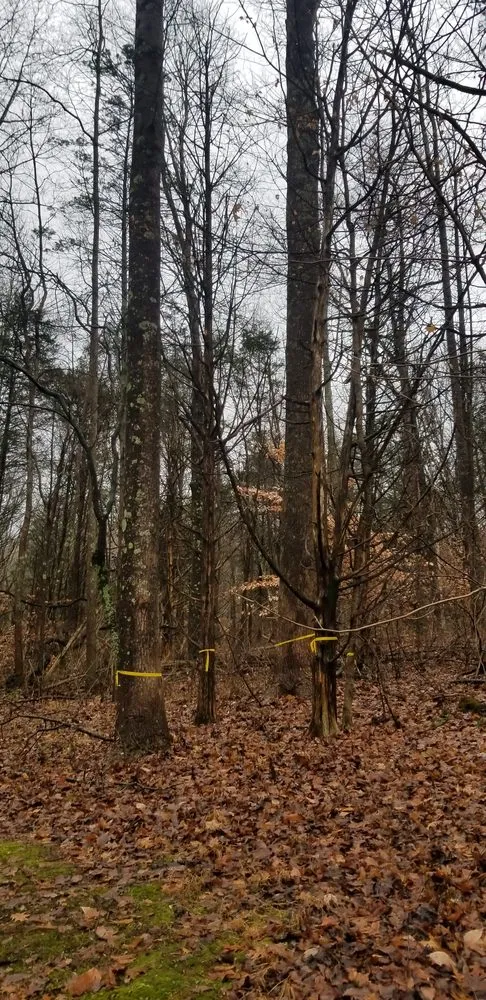 Slide of Quality Construction & Remodeling