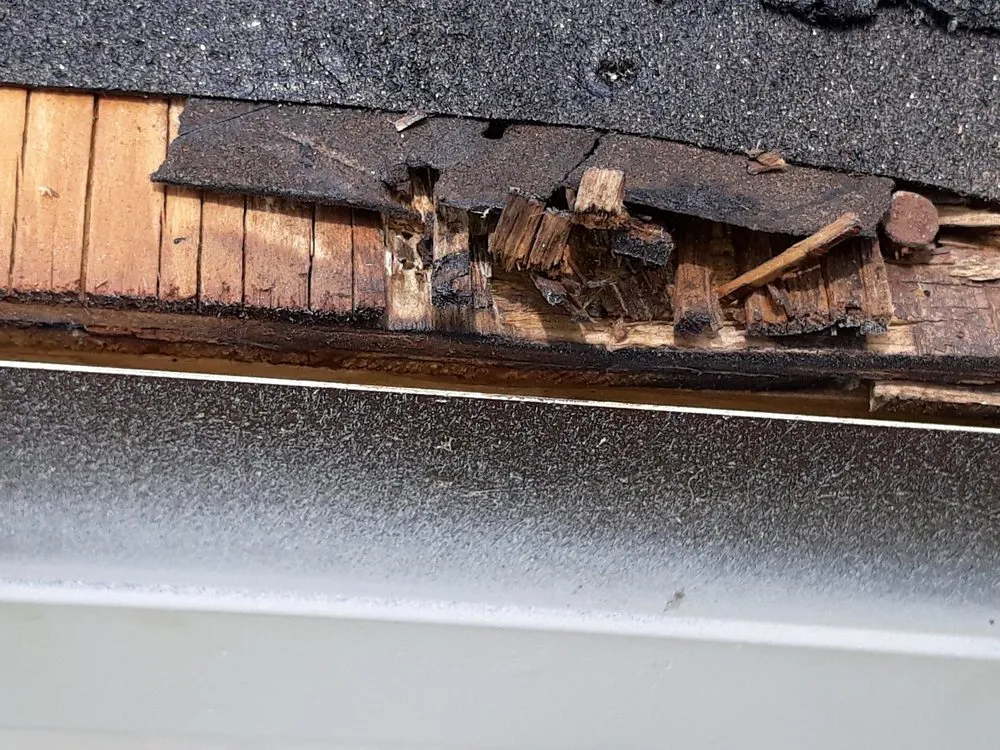 Slide of Quality First Roofing