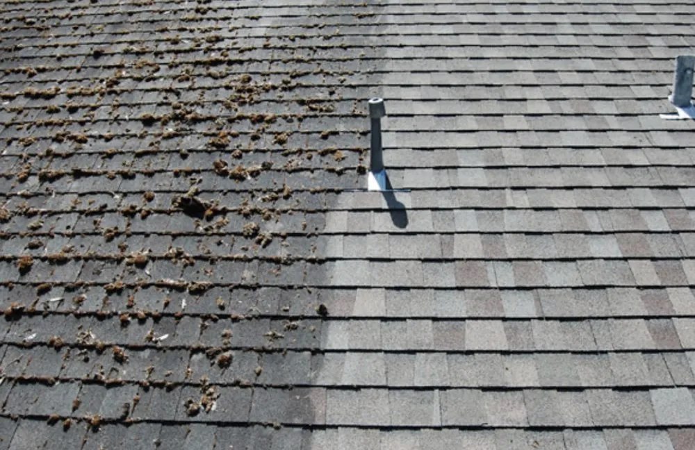 Slide of Quality King Roofing