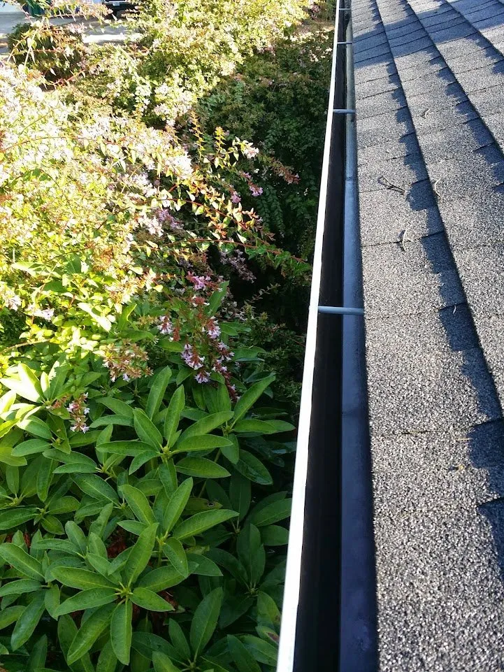 Slide of Quality Matters