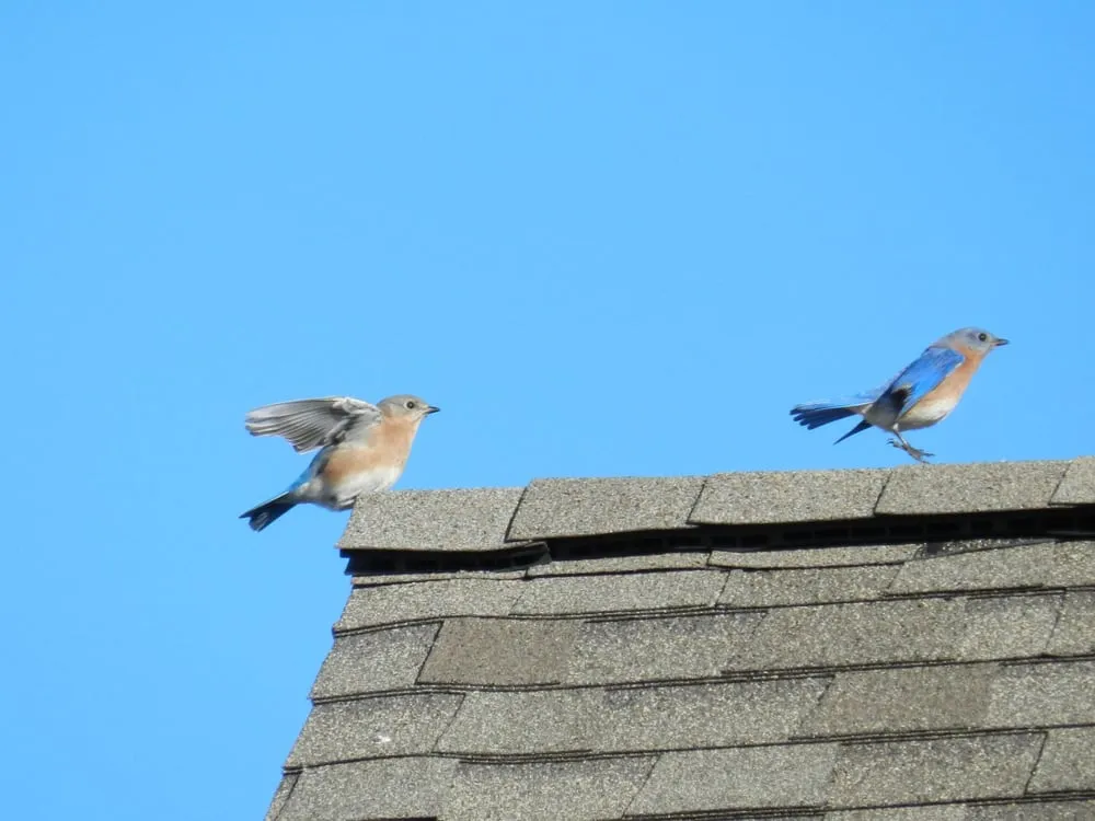 Slide of Quality Multi Services