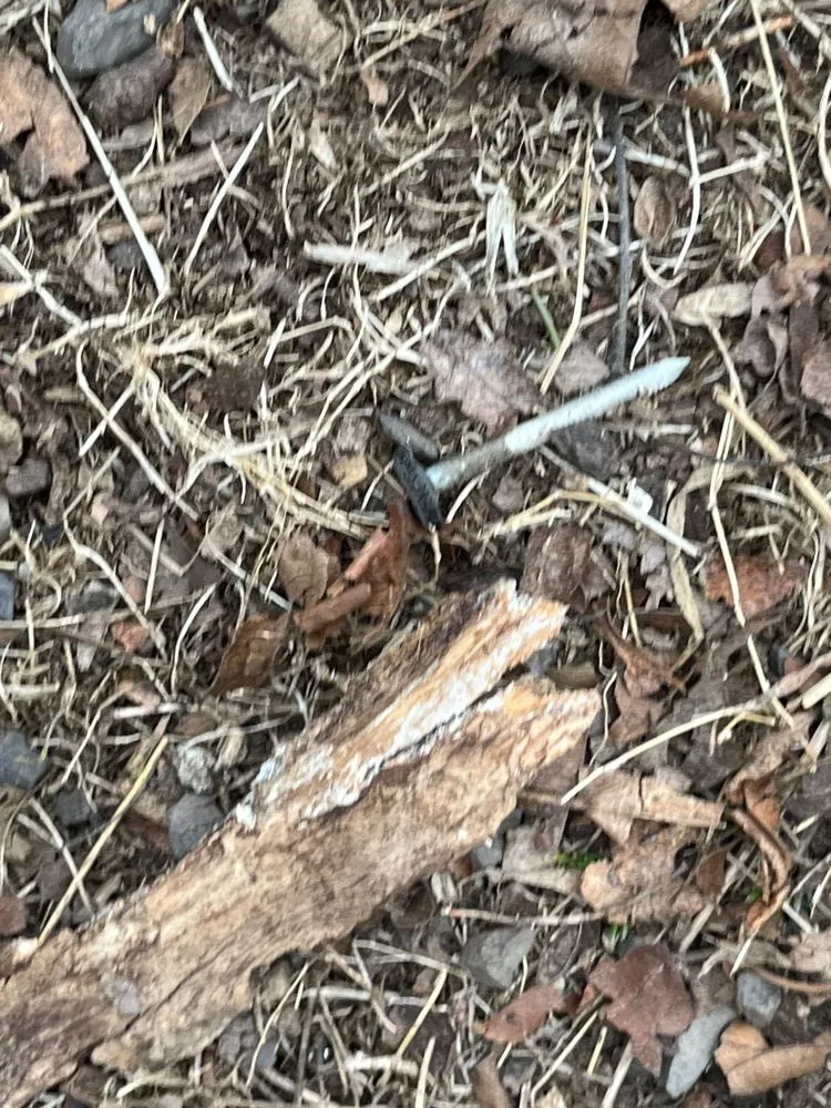 Slide of Quality One Roofing