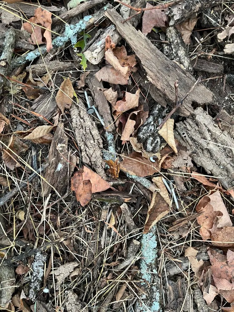 Slide of Quality One Roofing