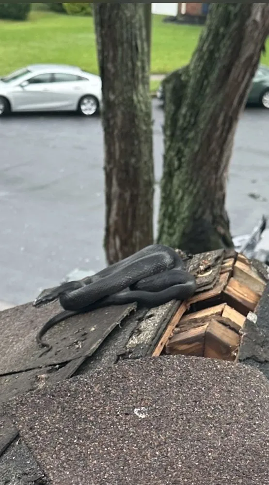 Slide of Quality Roof