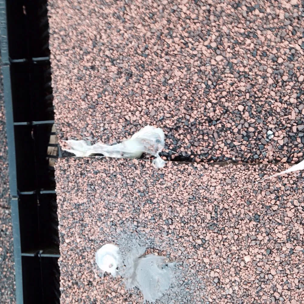 Slide of Quality Roofing & Painting