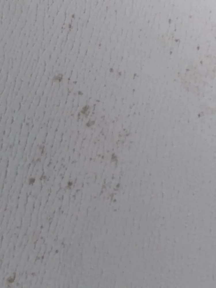 Slide of Quality Roofing