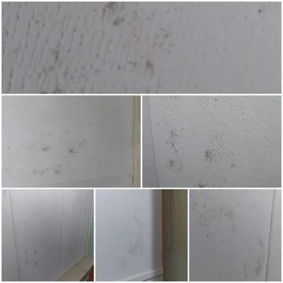 Quality Roofing Logo