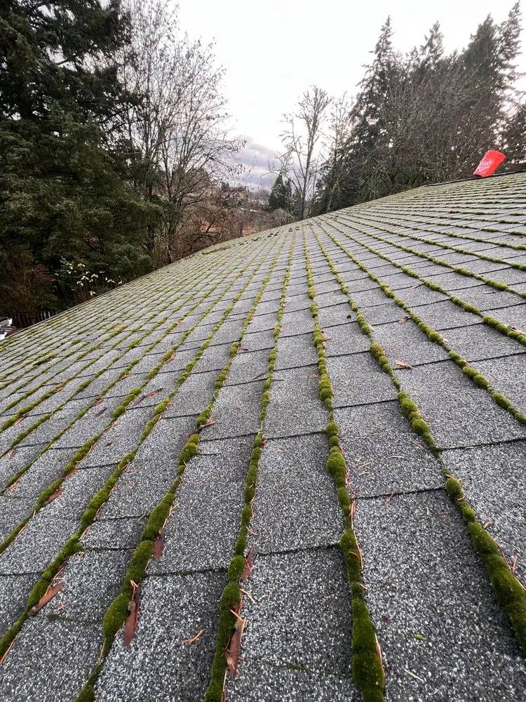 Slide of R & D Perez Construction