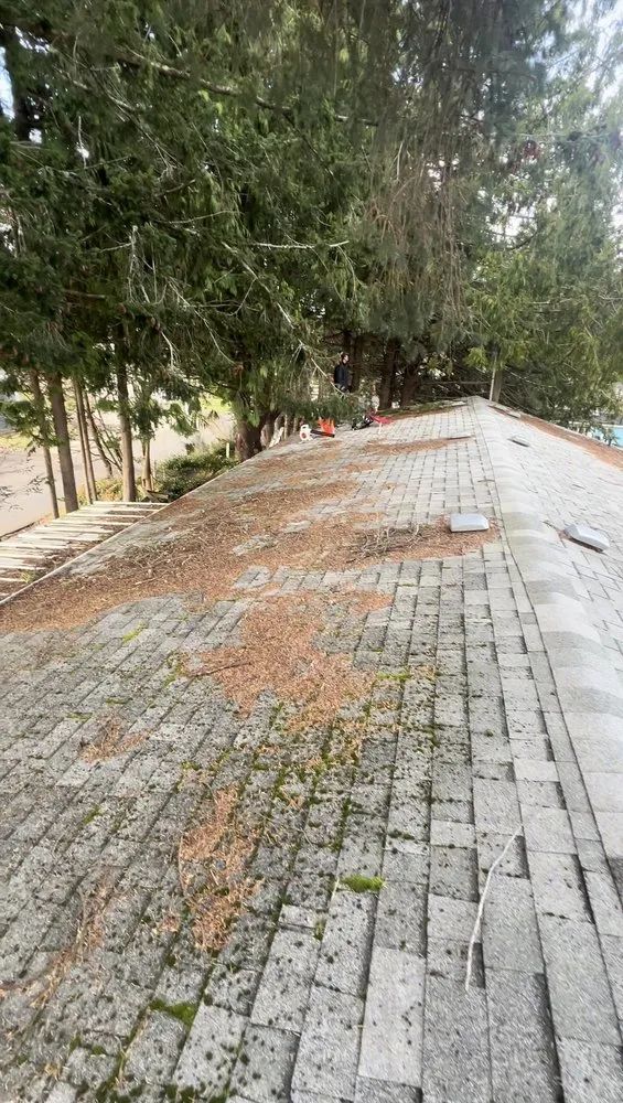 Slide of R & D Perez Construction