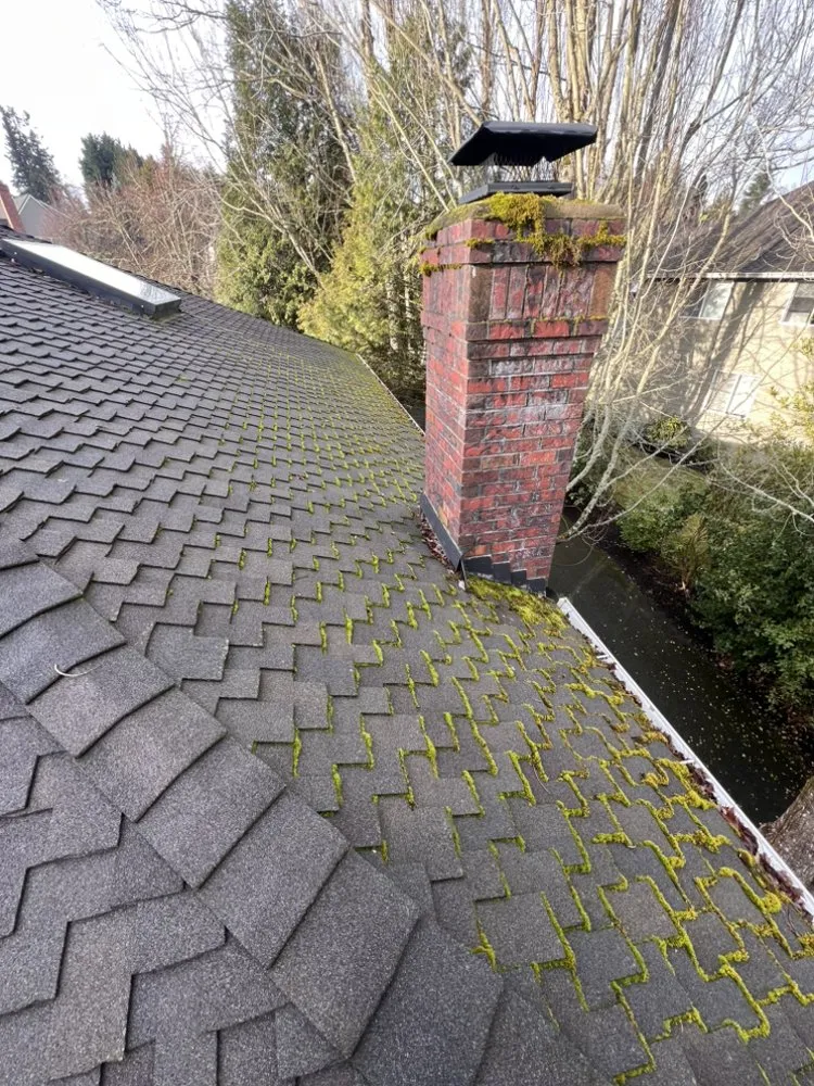 Slide of R & D Perez Construction