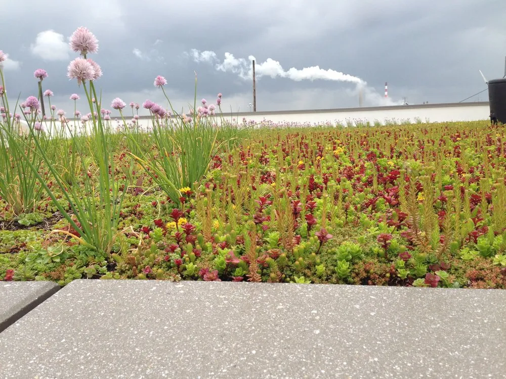 Slide of R Adams Roofing
