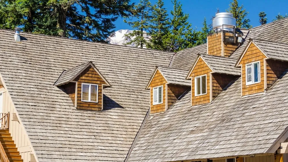 Slide of R Campbell Construction