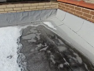 Slide of R Eck & Son