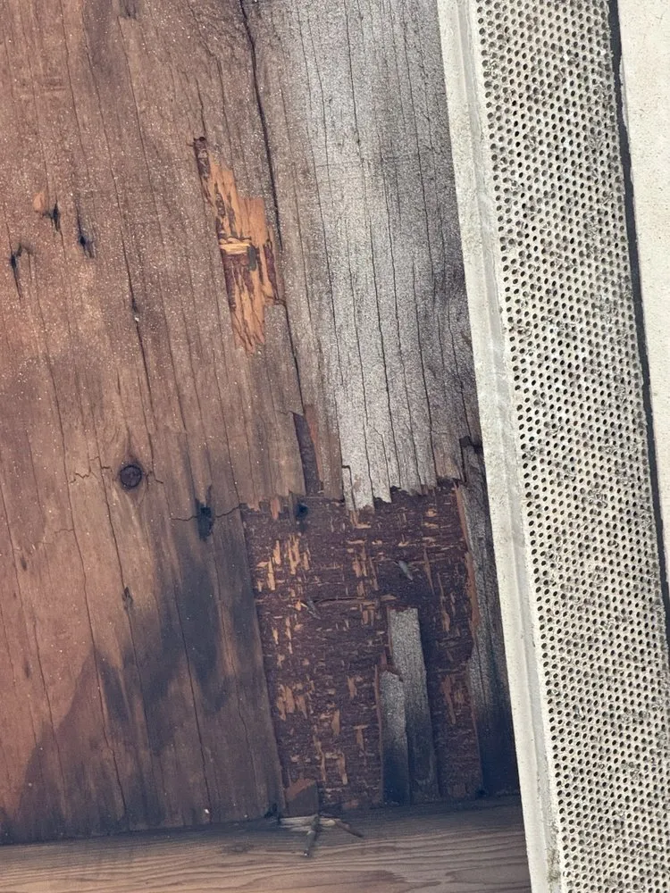 Local roof leak repair experts serving St. Petersburg, FL - R J Owens Roofing Contractors