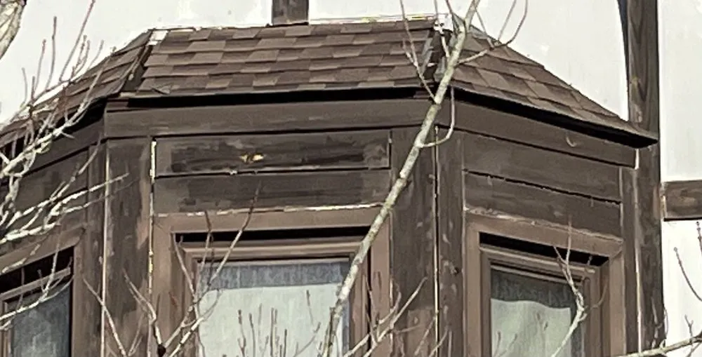 Slide of R L Hayes Roofing & Repairs