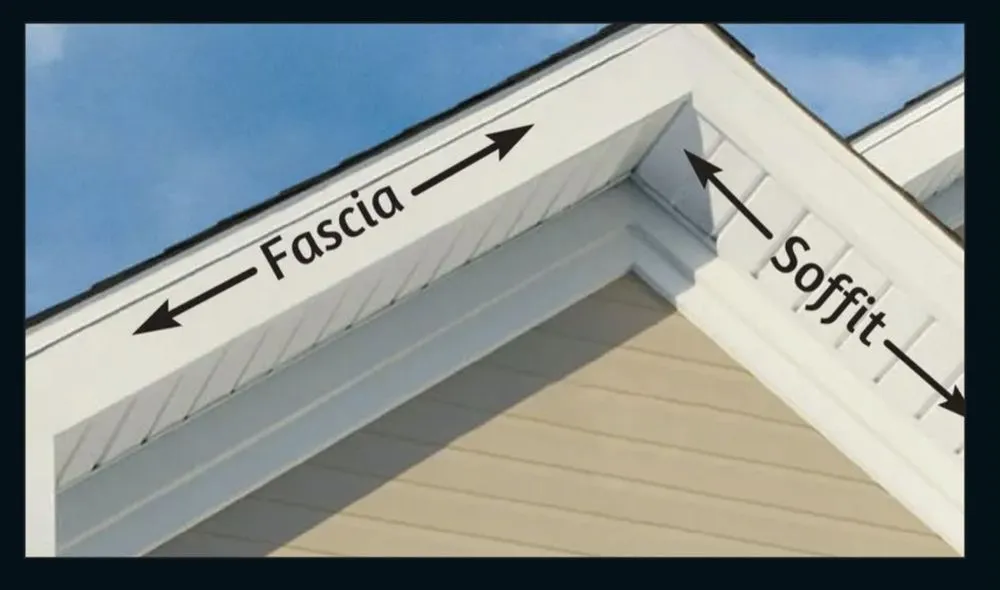 Slide of R M I Linhares