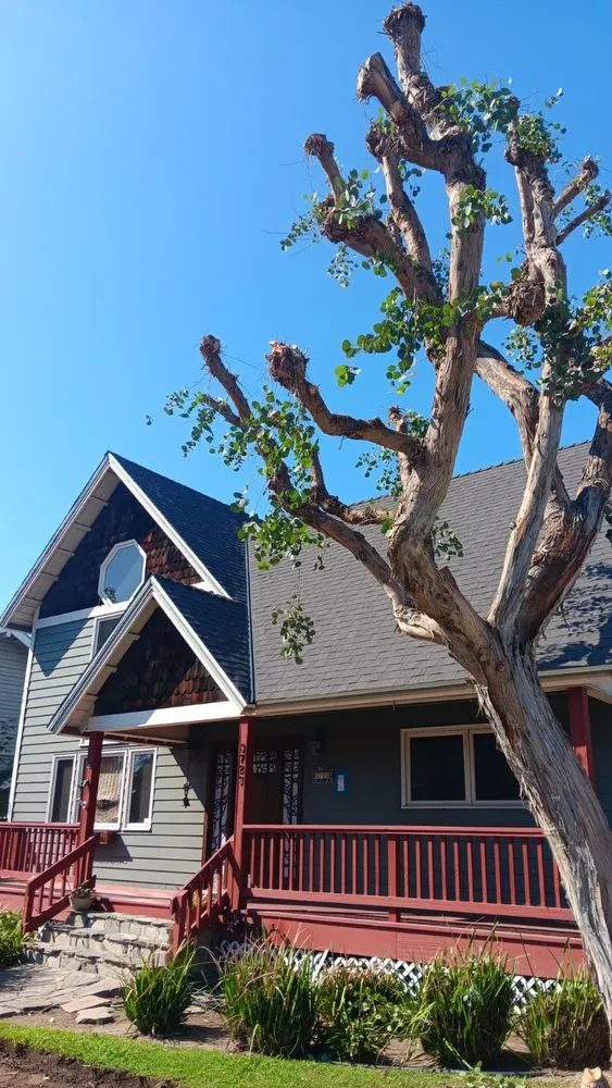 Slide of R Squared Roofing Services