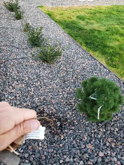 Slide of R Yard & Exteriors