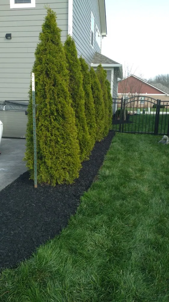 Slide of Rabbit Jack's Home Improvement and Lawn