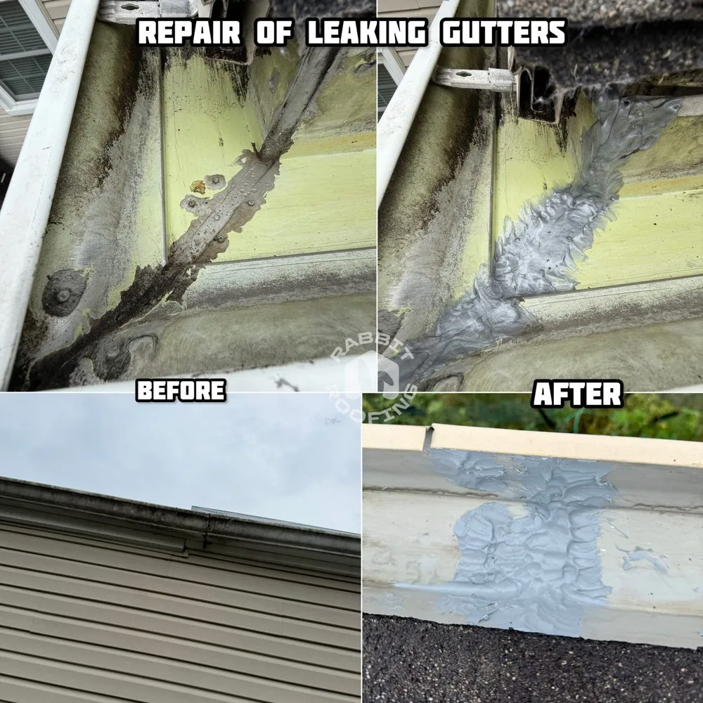 Slide of Rabbit Roofing