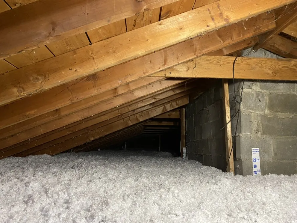 Slide of Radiant Eagle