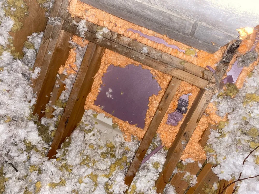 Slide of Radiant Eagle