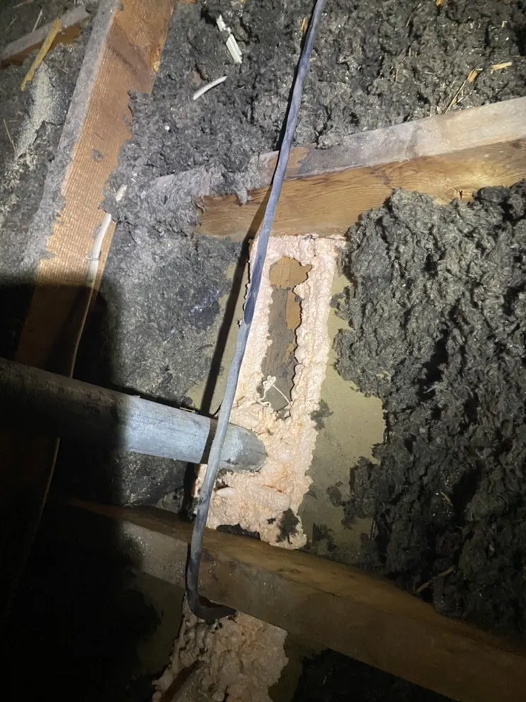 Slide of Radiant Eagle