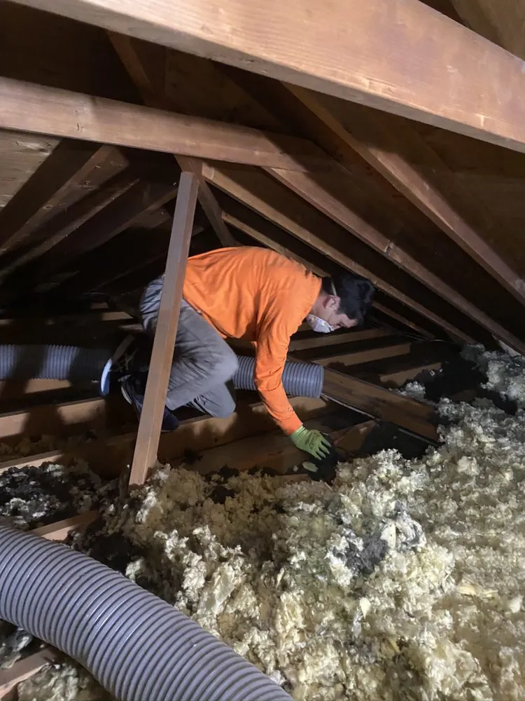 Slide of Radiant Eagle