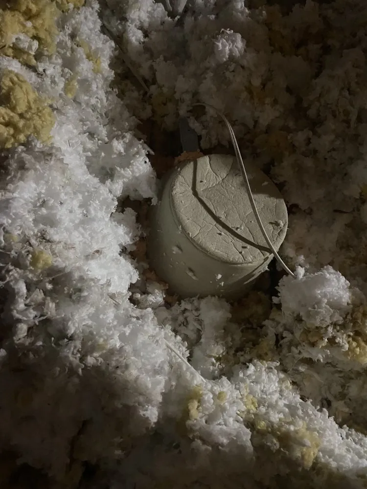 Slide of Radiant Eagle