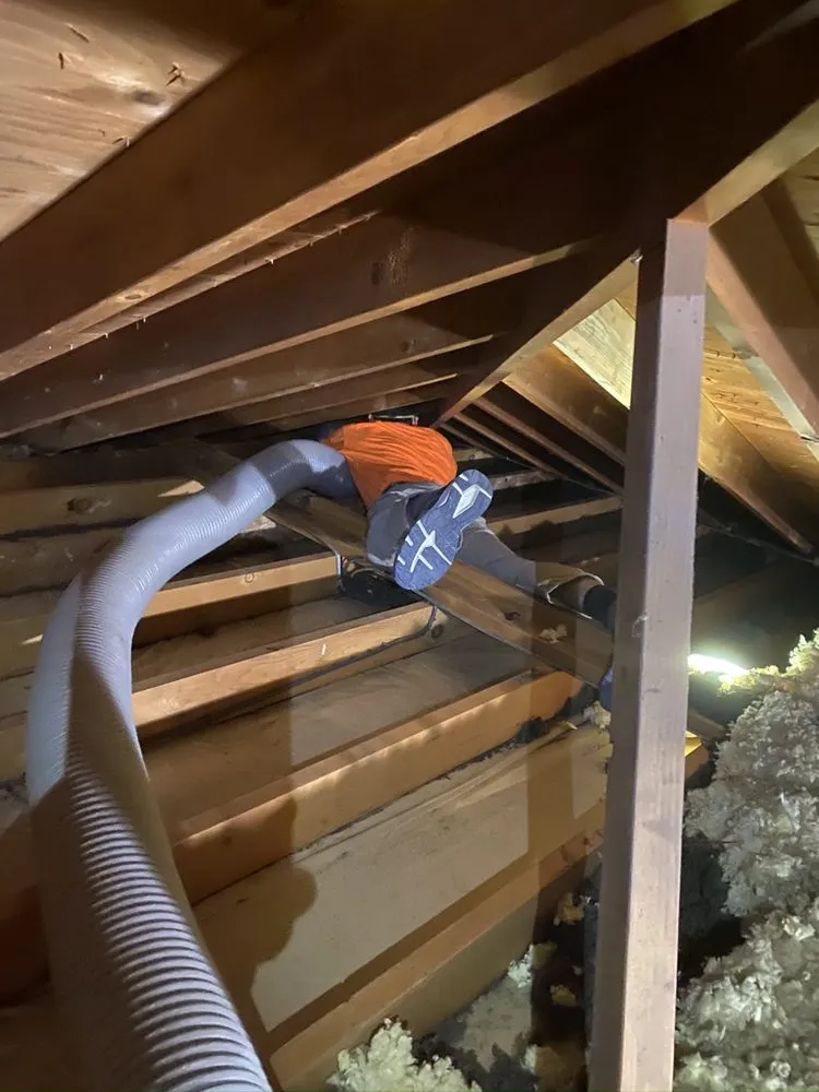 Slide of Radiant Eagle