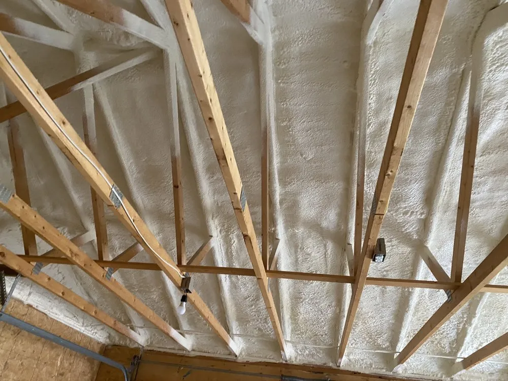 Slide of Radiant Eagle