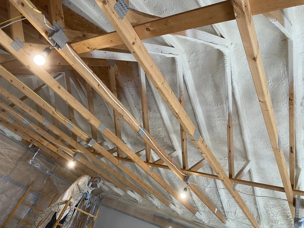 Slide of Radiant Eagle