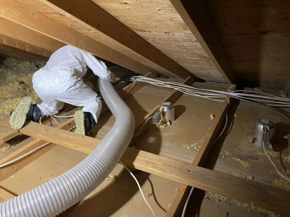 Slide of Radiant Eagle