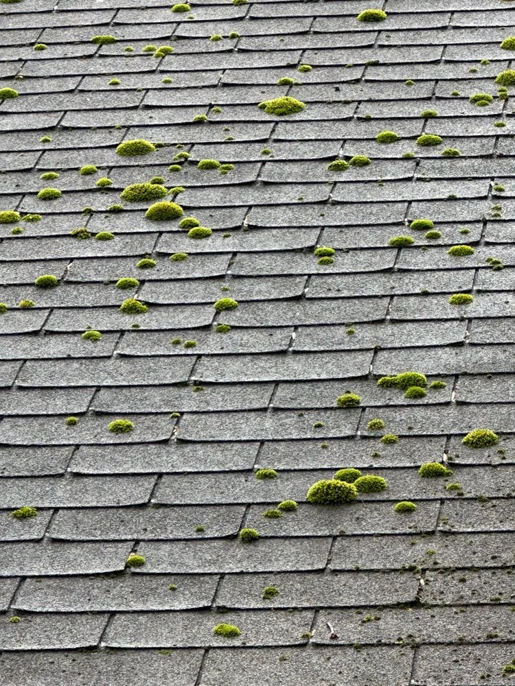 Slide of Radiant Home Services