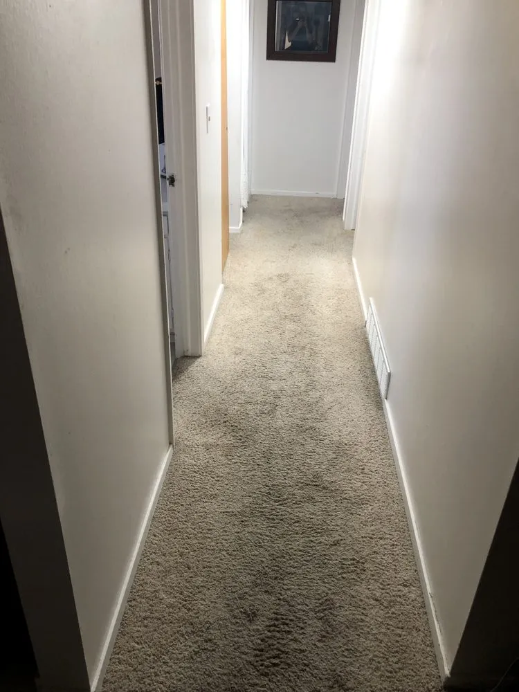 Slide of Radical Homes