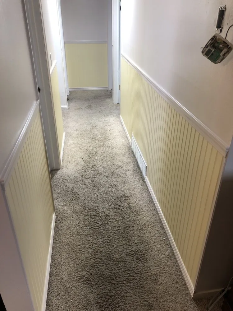 Slide of Radical Homes