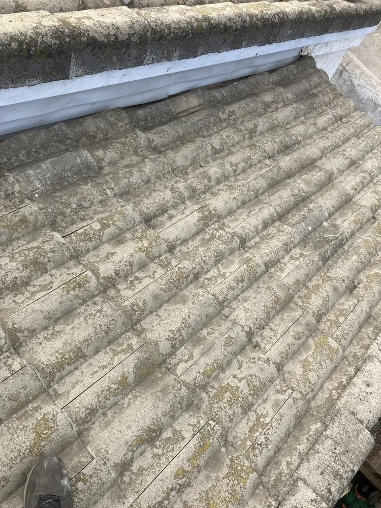 Slide of Rafael roof repairs