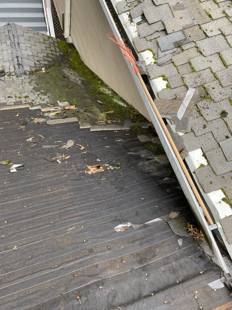 Slide of Rafael’s Tear-off & Hauling