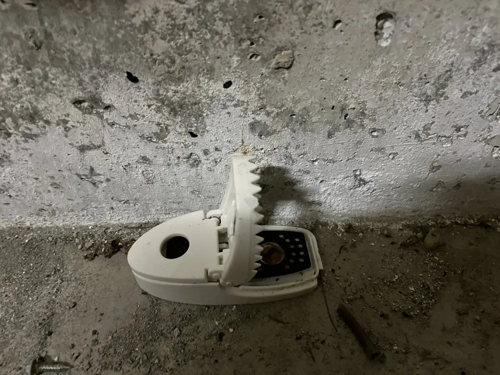 Slide of Rain and Shine Masonry and Construction