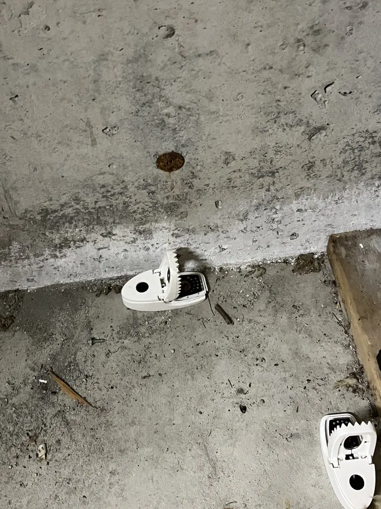 Slide of Rain and Shine Masonry and Construction