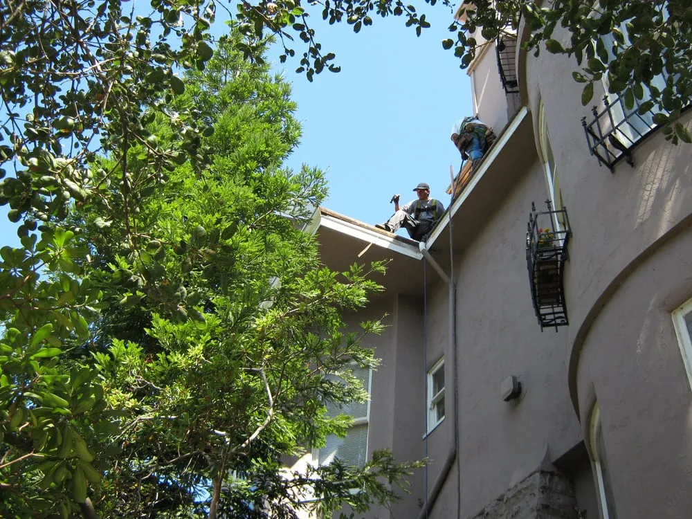 Slide of Rain Defense