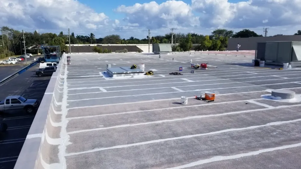 Slide of Rainbow Painting Group