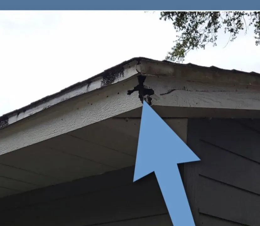 Licensed roof inspection for residential properties across PT ORANGE, FL - Raincoat Roofing