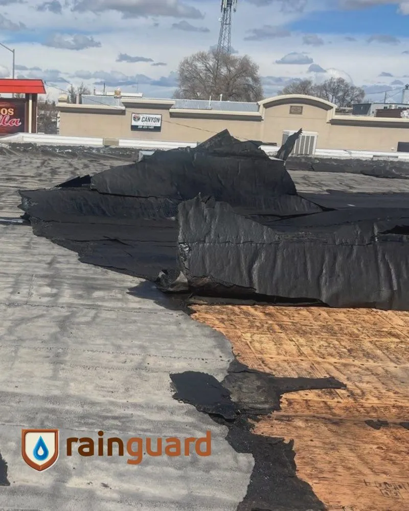 Slide of Rainguard Roofing